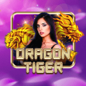 jl333 Dragon Tiger live casino